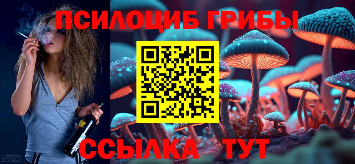 Сланцы  Псилоцибиновые грибы прущие грибы  Галлюциногенные грибы прущие грибы  Вход с VPN 